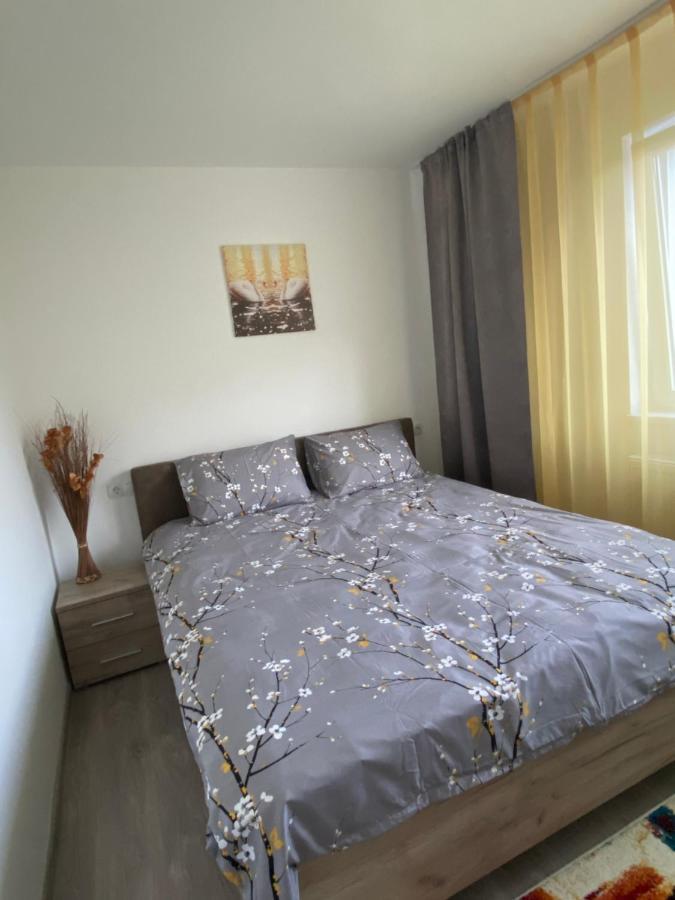 12 Residence Apartment Cavnic Extérieur photo