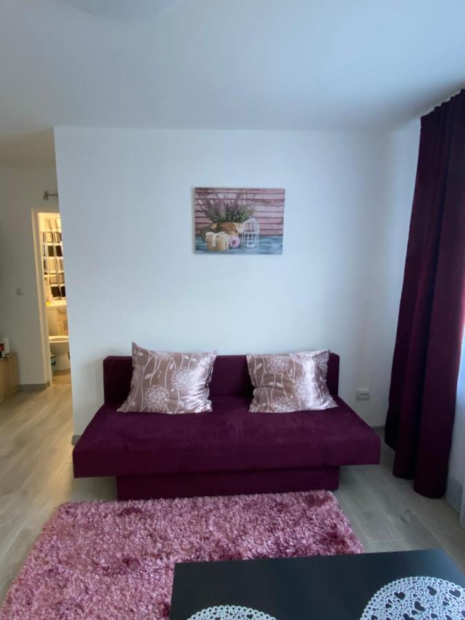 12 Residence Apartment Cavnic Extérieur photo