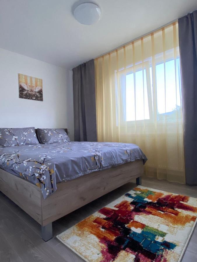 12 Residence Apartment Cavnic Extérieur photo